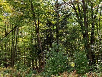 NY land for sale near Oneida Lake