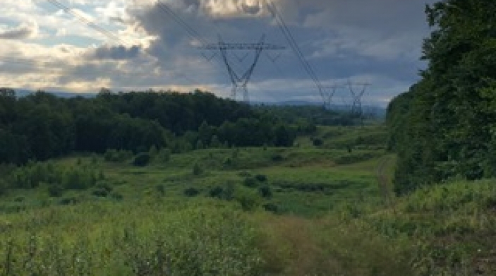 view of land for sale in ny state with clouds and power lines in sky