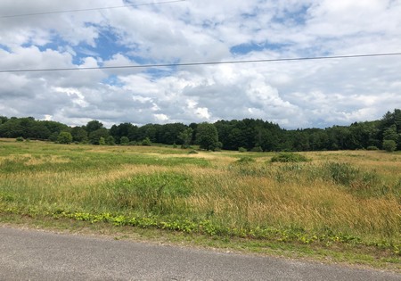 NY land for sale with town road power, florence New York