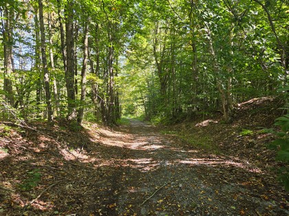 Adirondack NY land for sale, adirondacks, land and camps, ny properties, christmas associates