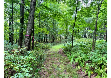 Finger Lakes area NY land for sale