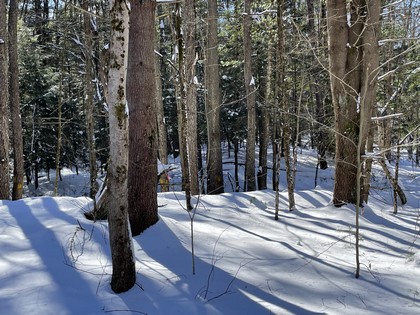 NY land for sale