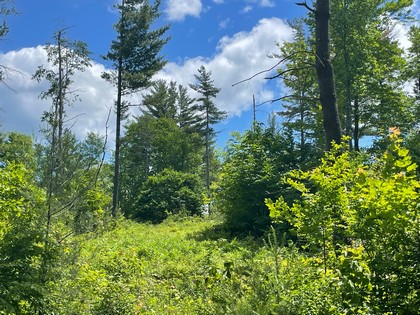 NY Adirondack hunting land for sale