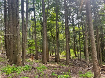 Meadows and woodlands - beautiful building lot in Florence NY near Mad River State Forest.