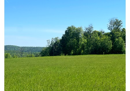 NY Southern Tier land for sale