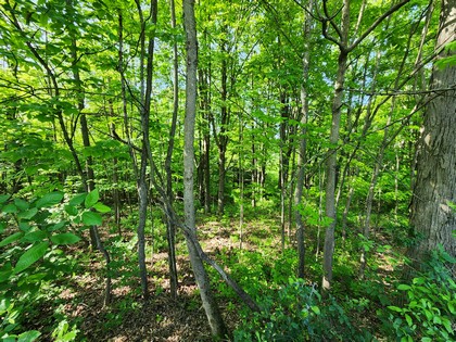 NY hunting land for sale