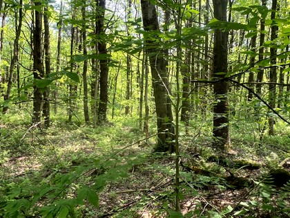 NY land for sale