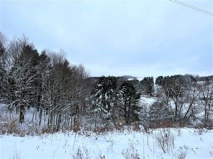 NY land for sale Catskills area