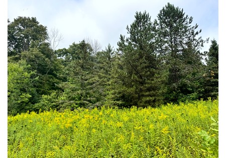 Finger Lakes NY land for sale