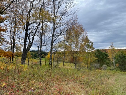 NY land for sale near Catskills