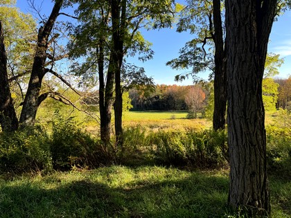 NY southern tier hunting land for sale
