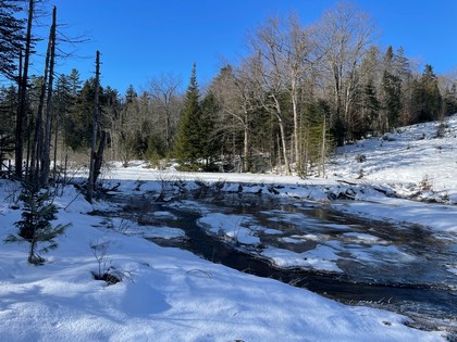 Adirondack land for sale