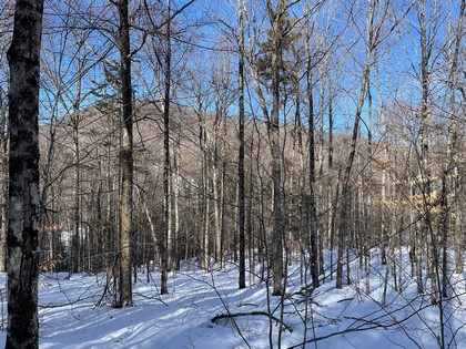 Adirondack land for sale