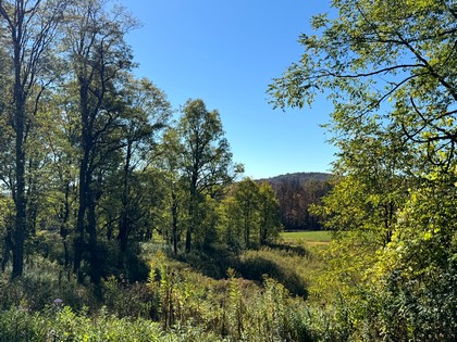 NY southern tier hunting land for sale
