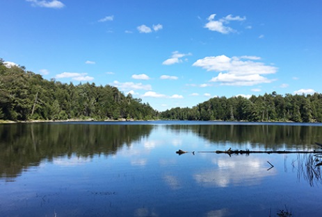 off the grid property for sale ny state image of waterfront property looking out on lake