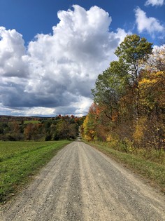 Land for sale Southern Tier NY hunting land