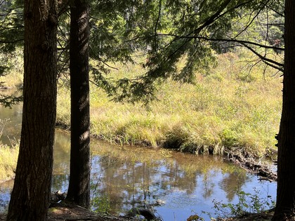 Adirondacks NY land for sale