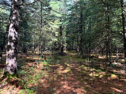 NY Adirondack land for sale