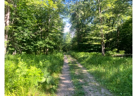 NY hunting land for sale