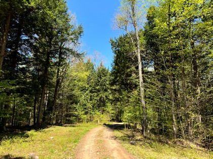 NY land and camps for sale