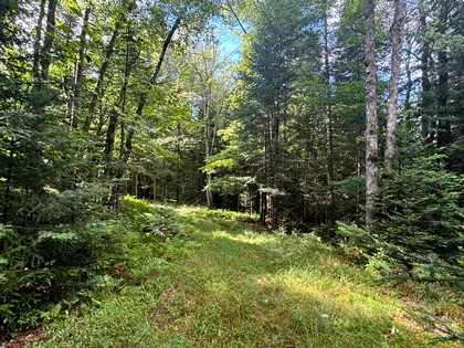 Adirondack riverfront land for sale
