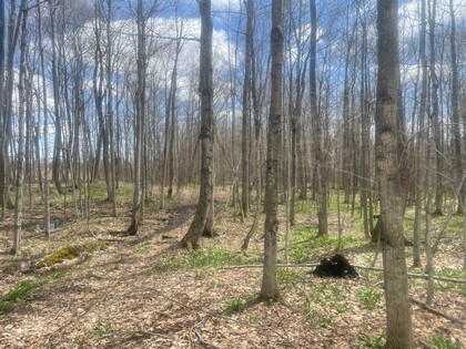 NY land and camps near Salmon River