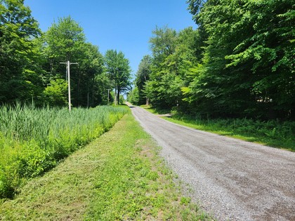 NY land for sale near Oneida Lake