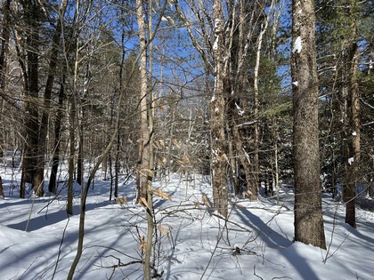 NY land for sale