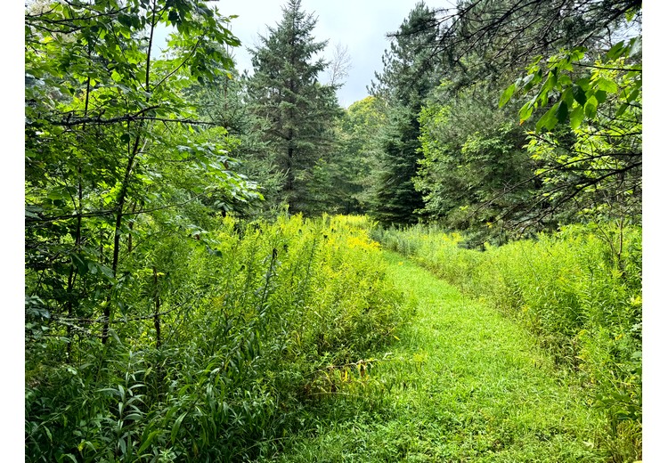 Finger Lakes NY land for sale