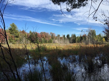 NY waterfront land for sale