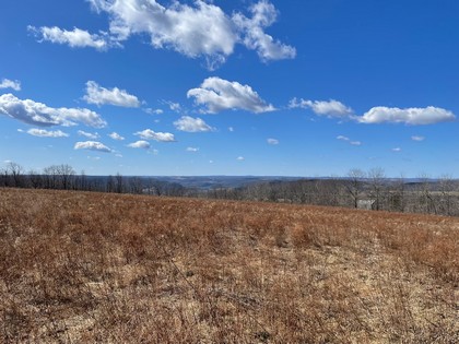 NY land for sale southern tier