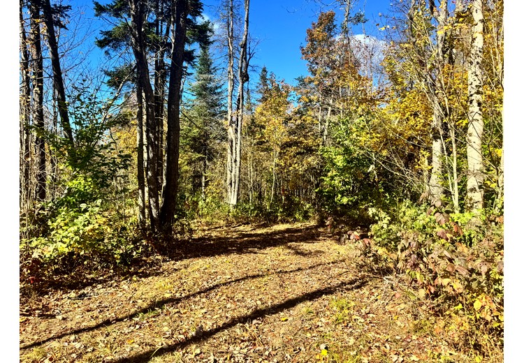 Tug Hill NY land for sale