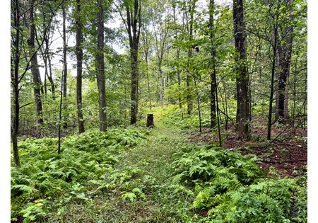 Finger Lakes NY land for sale