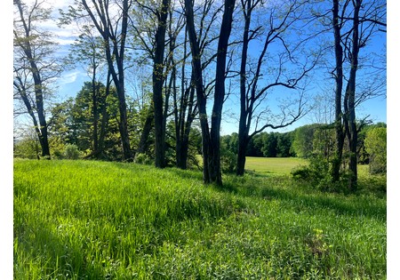 NY southern tier hunting land for sale