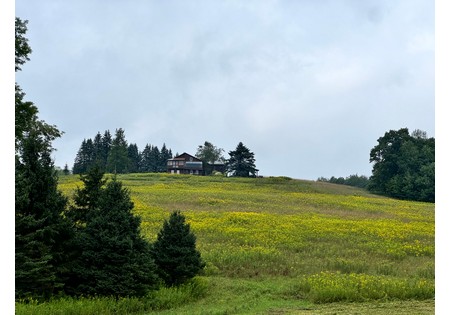 Finger Lakes NY homes for sale
