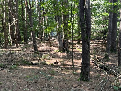 Land for sale near Oneida Lake NY