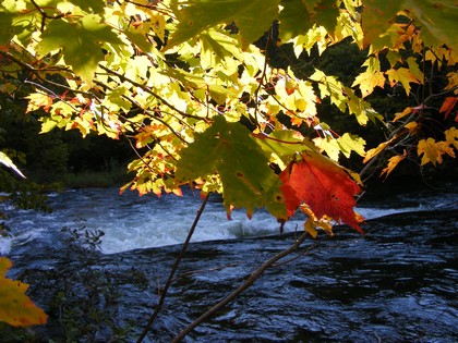 Adirondack waterfront NY land for sale