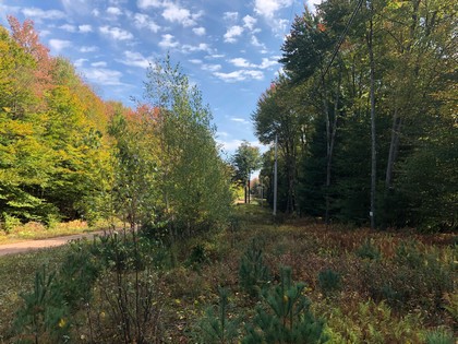 NY land for sale near Oneida Lake