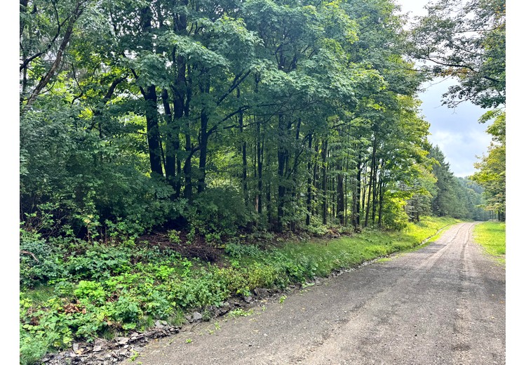 Finger Lakes NY land for sale