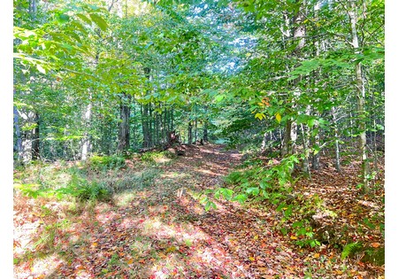 Tug Hill NY hunting land for sale