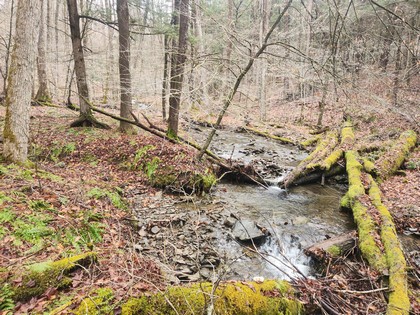 Cortland County NY land for sale