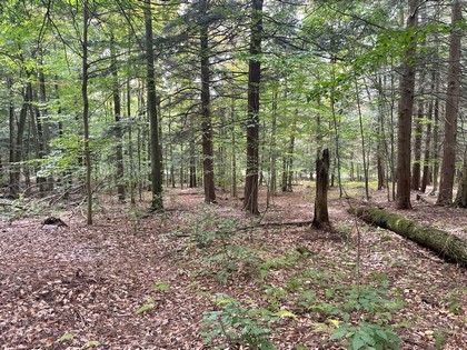 Oneida Lake NY cabin lot for sale