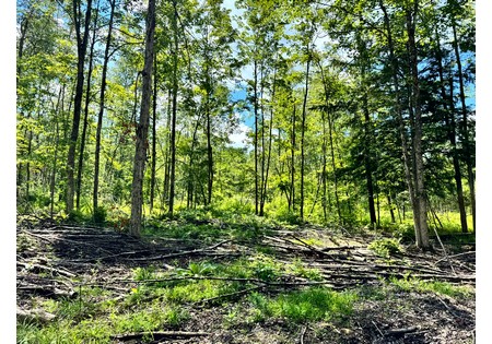 NY land for sale