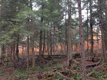 Adirondack land for sale NY