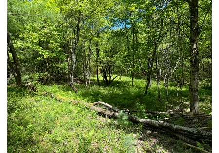 NY land for sale near Oneida Lake