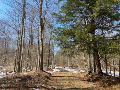 NY land and camp for sale Westdale NY