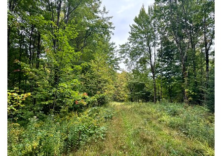 Tug Hill NY land for sale