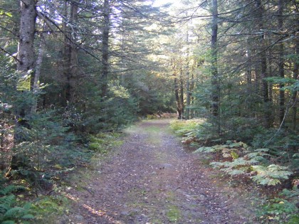 Adirondack waterfront NY land for sale