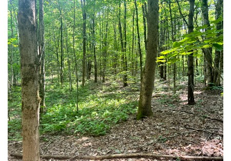 NY land for sale