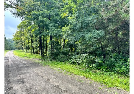 Finger Lakes NY land for sale